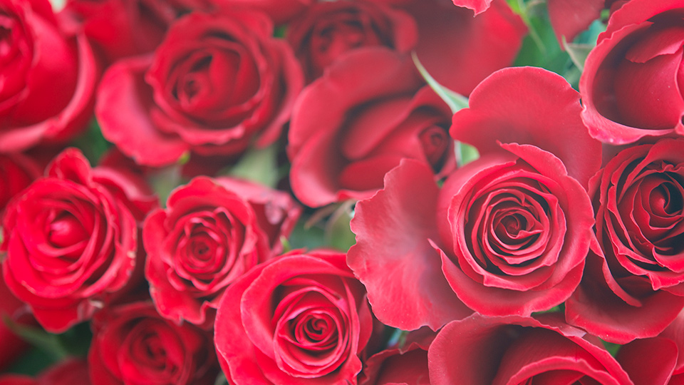 アンサナ フルール スガヤ