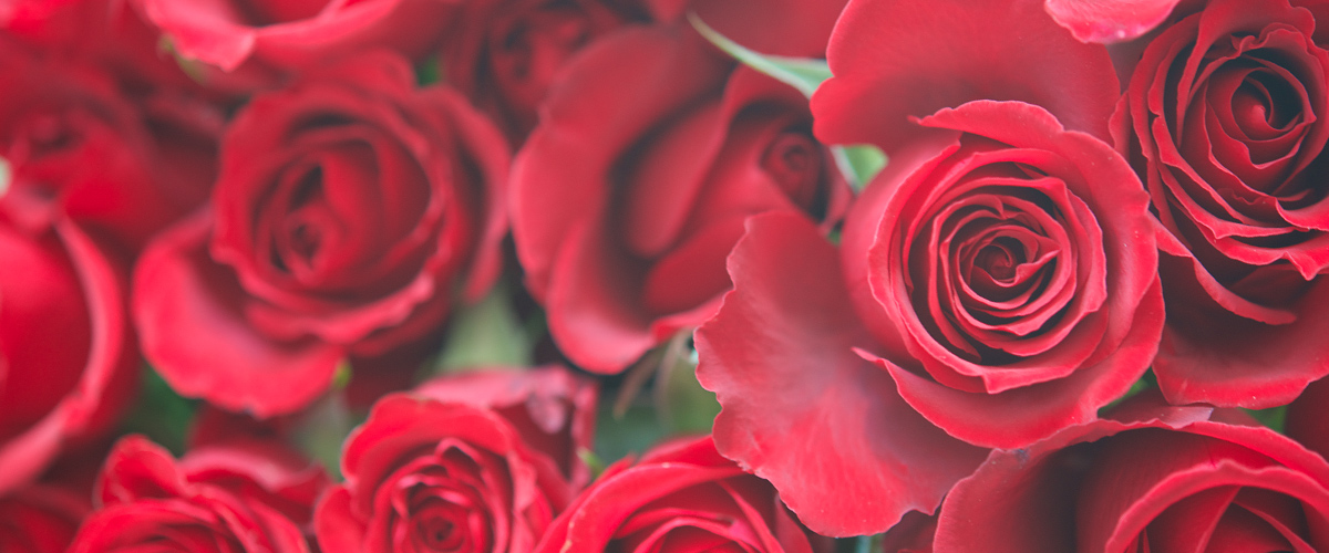 アンサナ フルール スガヤ