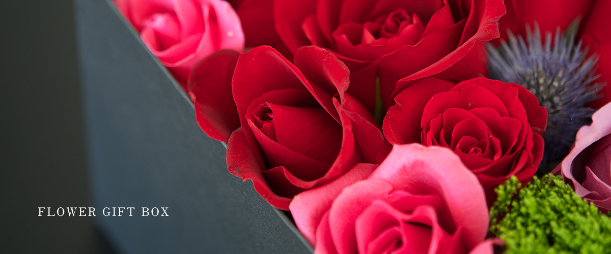 アンサナ フルール スガヤ